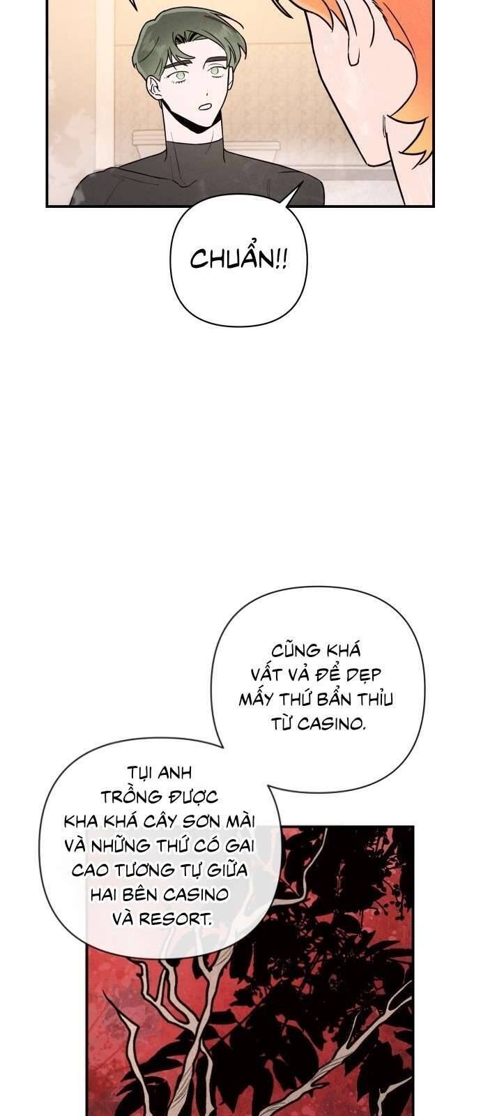 Tối Nay Tôi Là Người Được Cô Ấy Chọn: Chapter 10