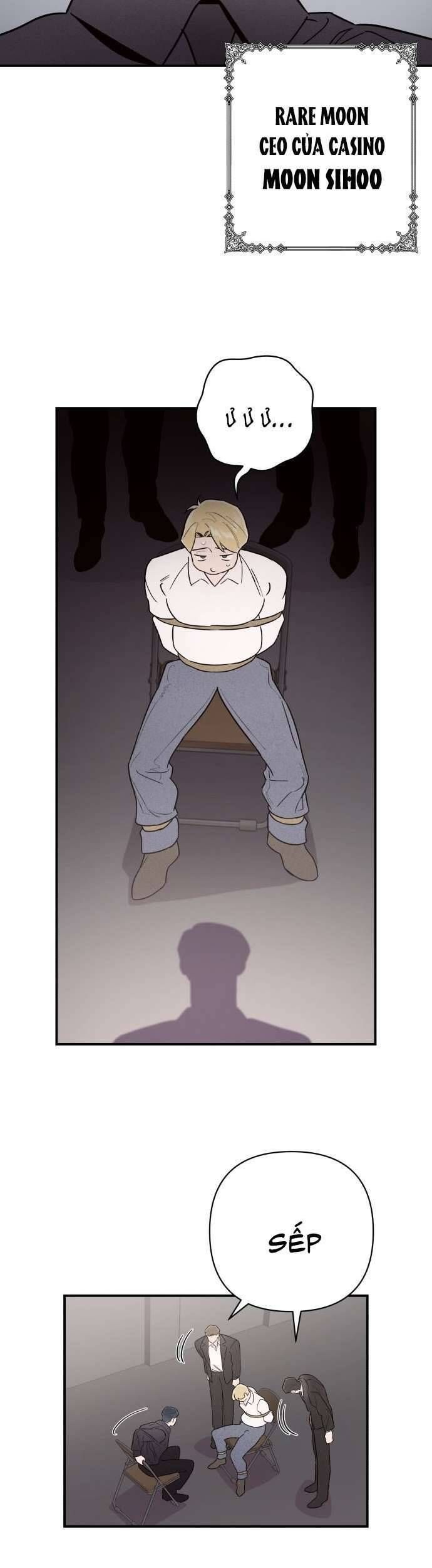 Tối Nay Tôi Là Người Được Cô Ấy Chọn: Chapter 11