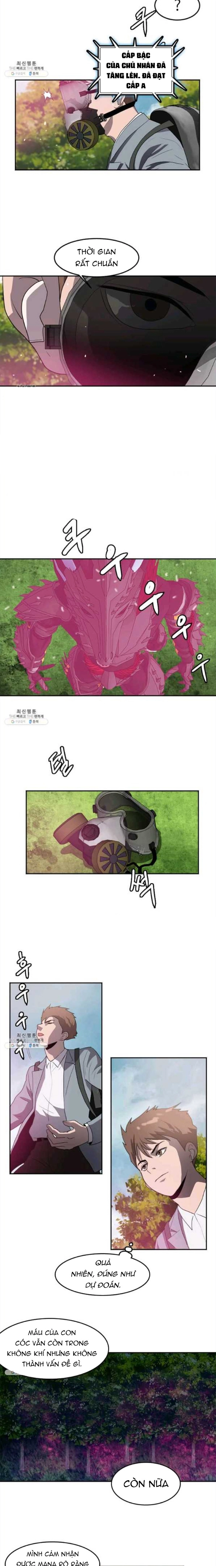 Tôi Nhặt Được Điện Thoại Từ Thế Giới Khác: Chapter 115