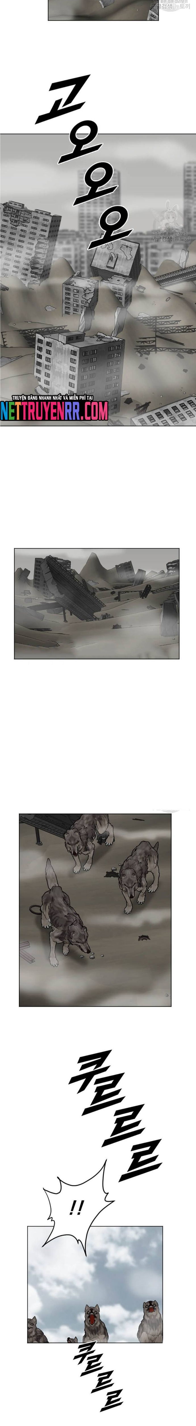 Tôi Nhặt Được Điện Thoại Từ Thế Giới Khác: Chapter 196