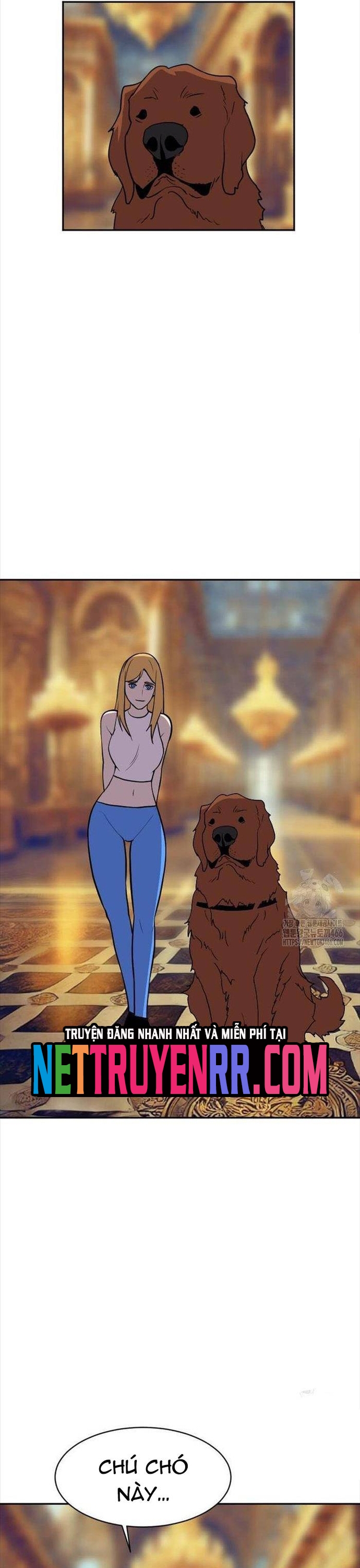 Tôi Nhặt Được Điện Thoại Từ Thế Giới Khác: Chapter 248