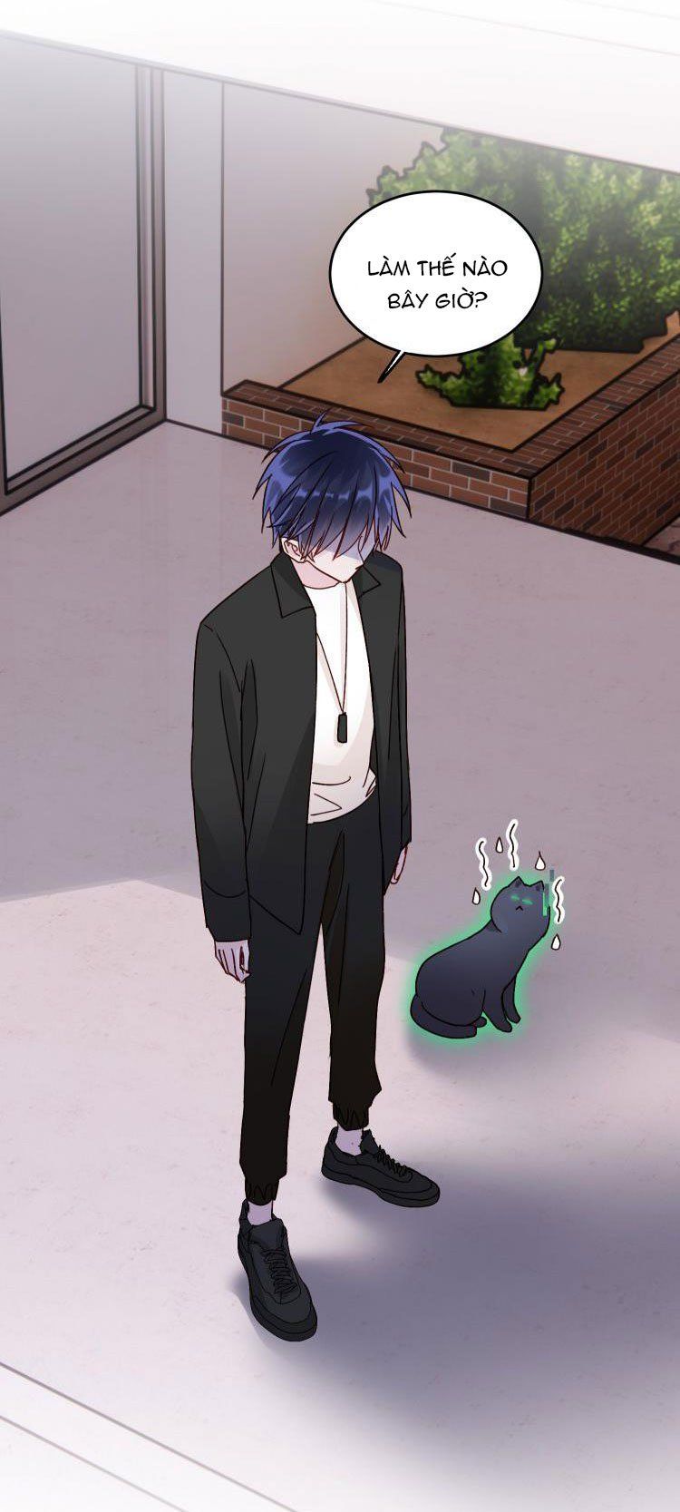 Tôi Phải Làm Một Kẻ Đại Xấu Xa: Chapter 18.5