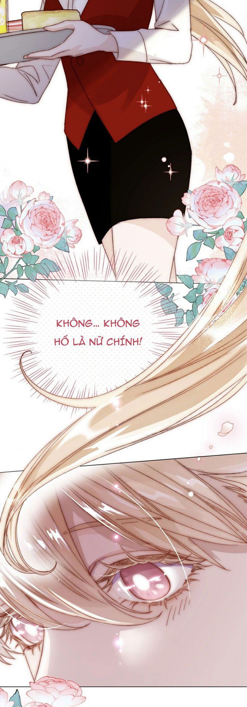 Tôi Phải Làm Một Kẻ Đại Xấu Xa: Chapter 25.5