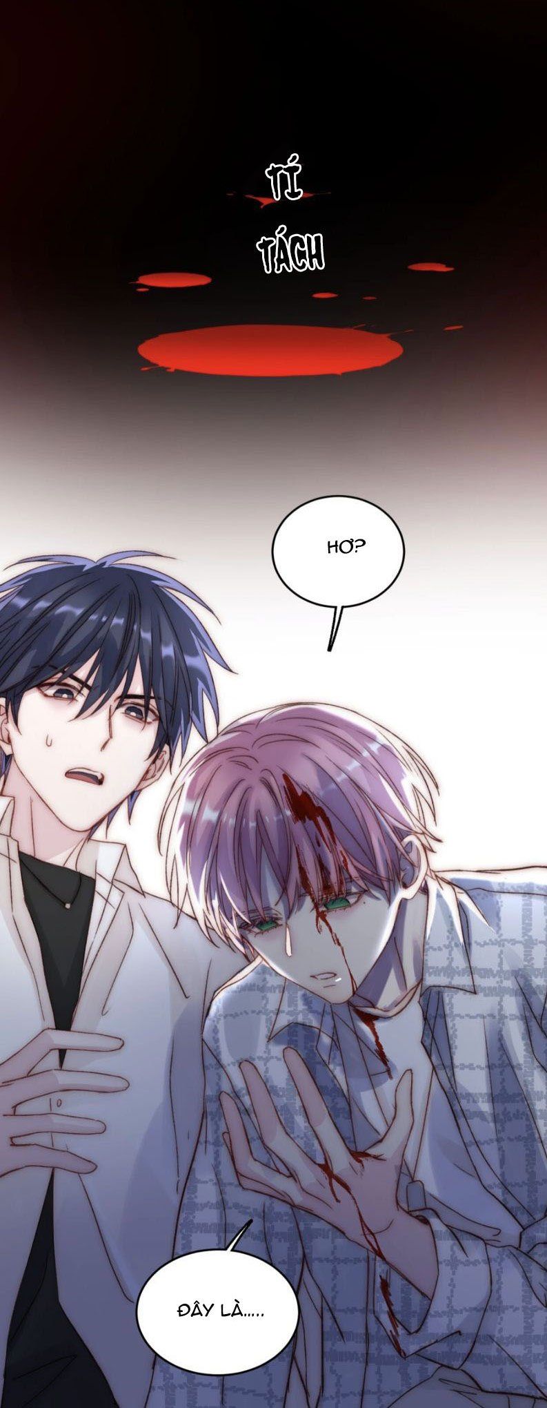 Tôi Phải Làm Một Kẻ Đại Xấu Xa: Chapter 27.5