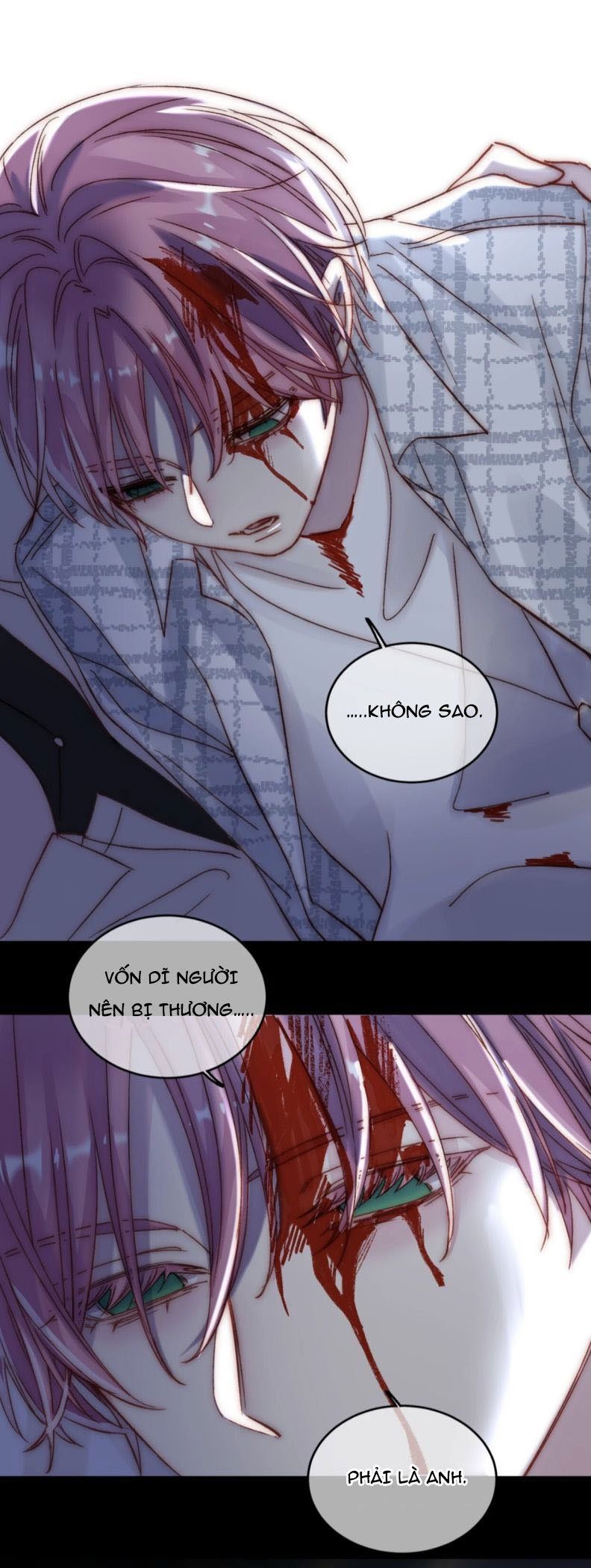 Tôi Phải Làm Một Kẻ Đại Xấu Xa: Chapter 27.5