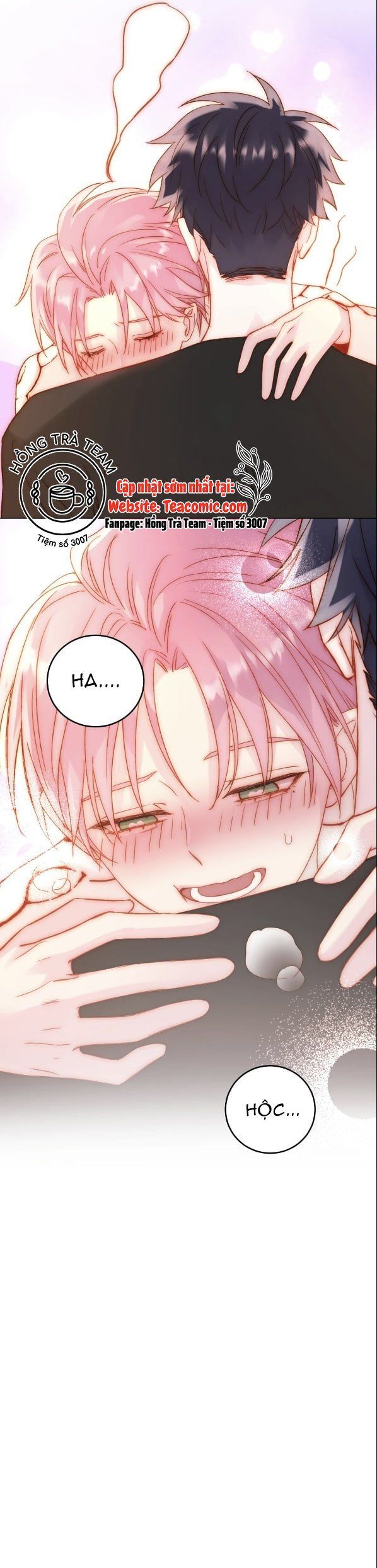 Tôi Phải Làm Một Kẻ Đại Xấu Xa: Chapter 66.5