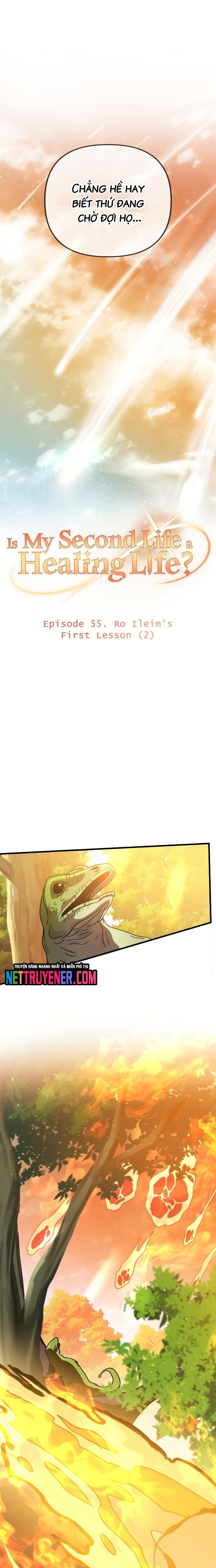 Tôi sống cuộc đời chữa lành ở kiếp thứ hai: Chapter 55