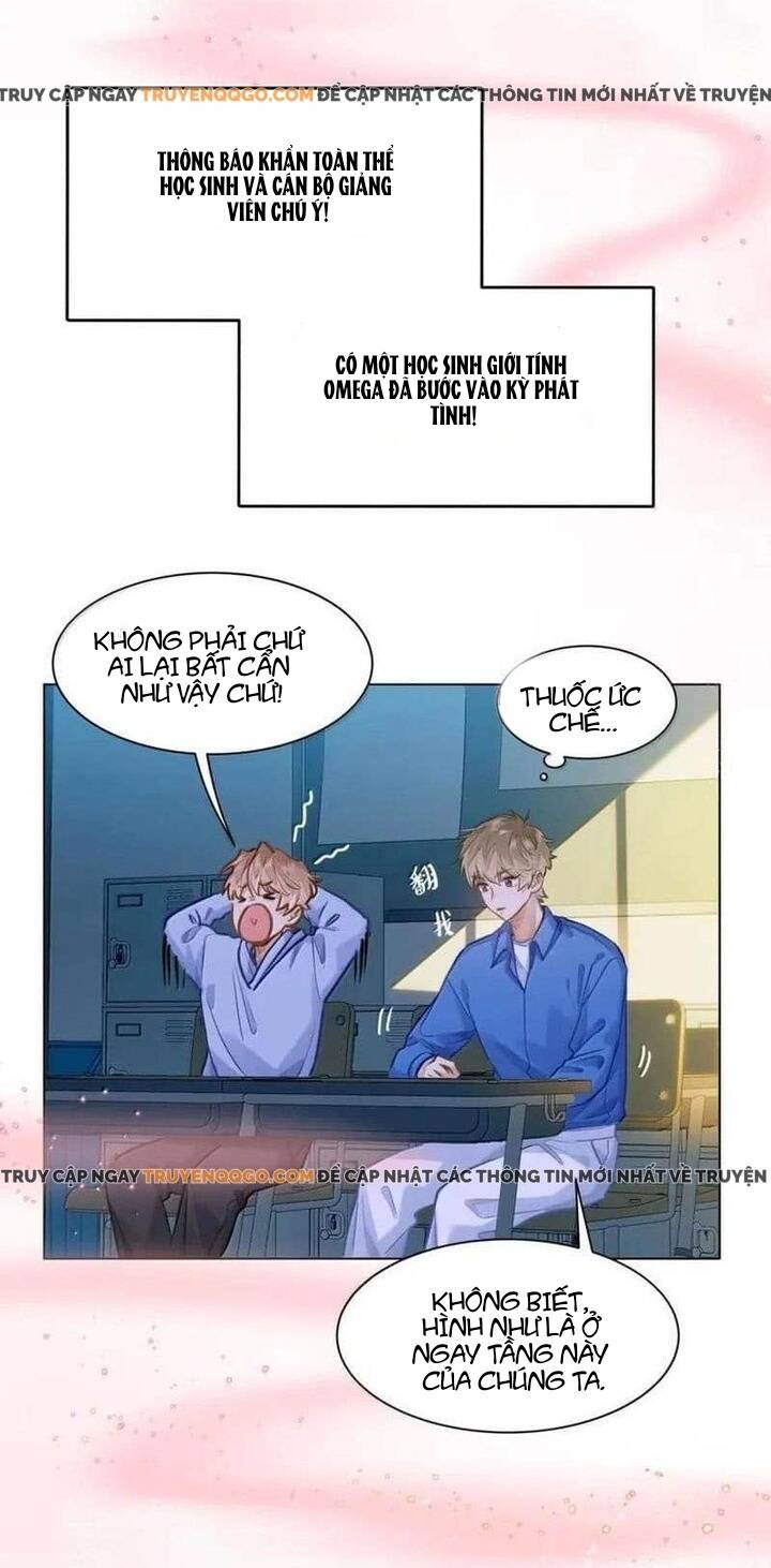 Tôi Thích Pheromone Của Cậu: Chapter 64