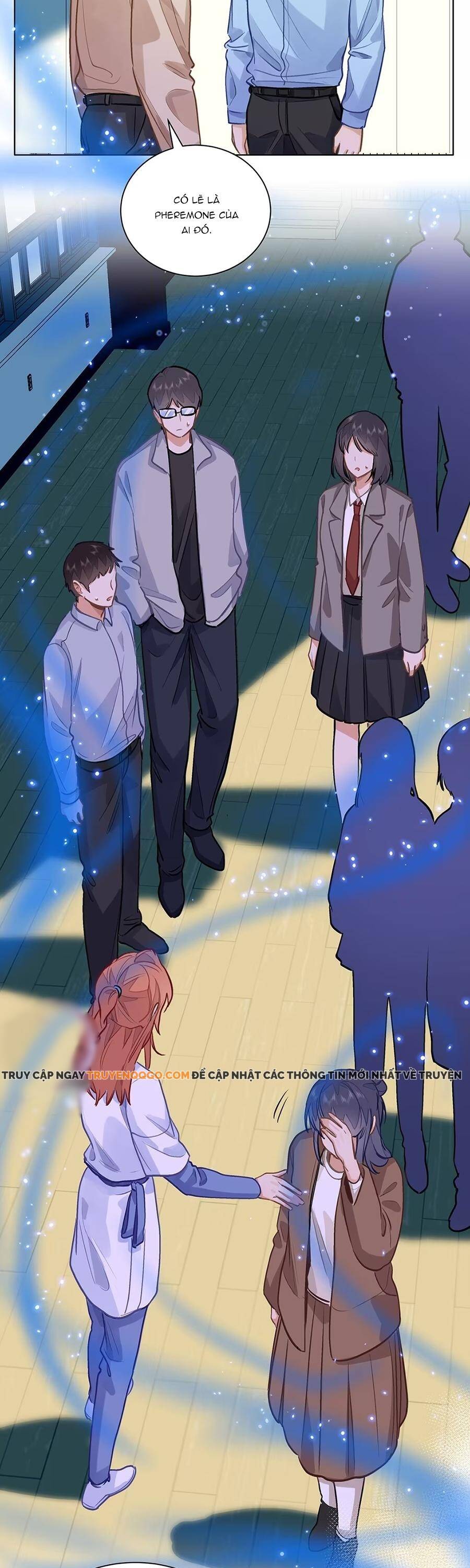 Tôi Thích Pheromone Của Cậu: Chapter 81