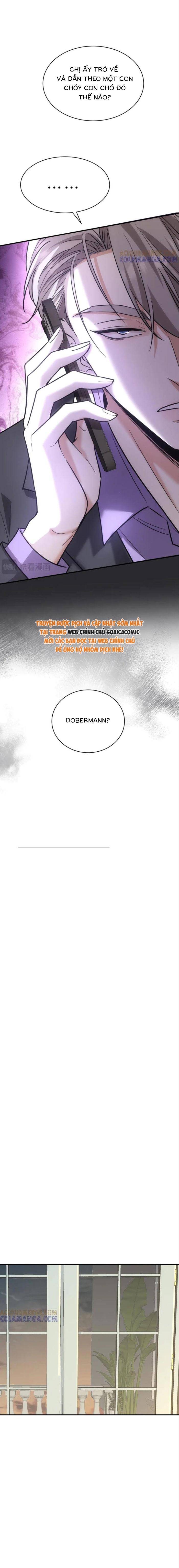 Tổng Tài Chó: Chapter 42