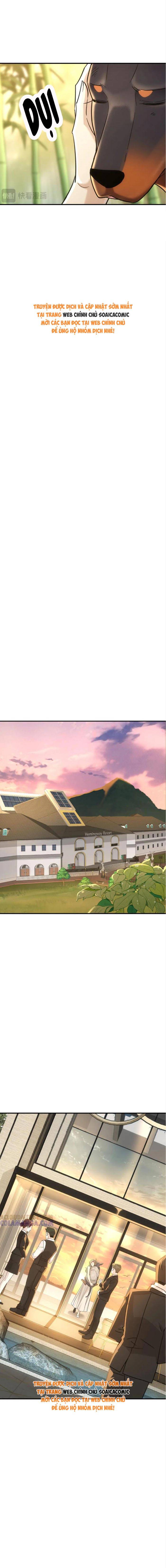 Tổng Tài Chó: Chapter 42