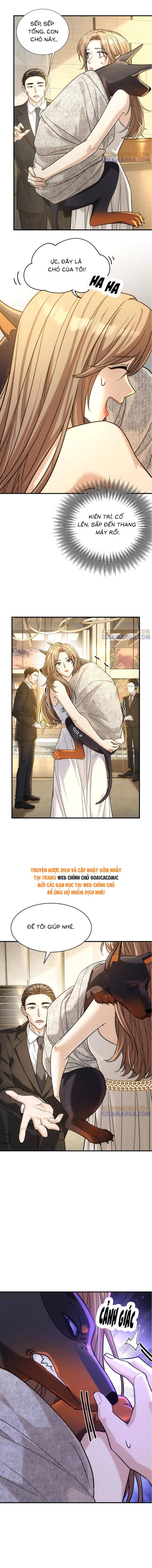 Tổng Tài Chó: Chapter 42