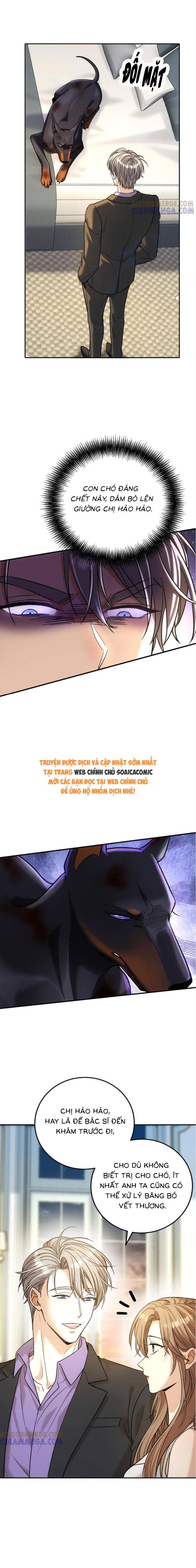 Tổng Tài Chó: Chapter 43
