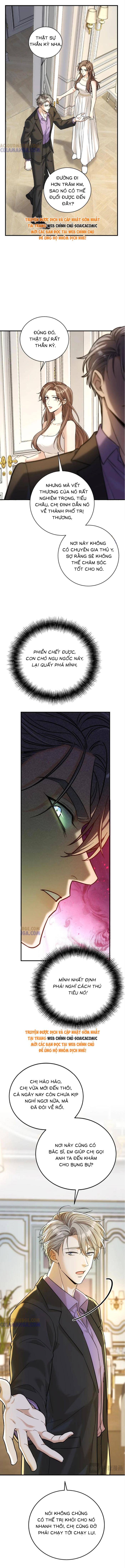 Tổng Tài Chó: Chapter 43