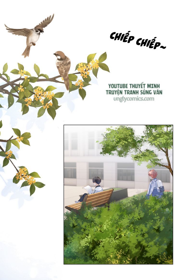 Tri Bỉ: Chapter 10