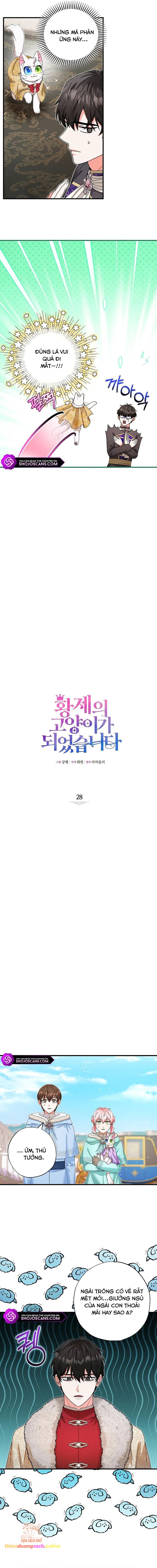 Trở Thành Miêu Nữ Của Hoàng Đế: Chapter 28