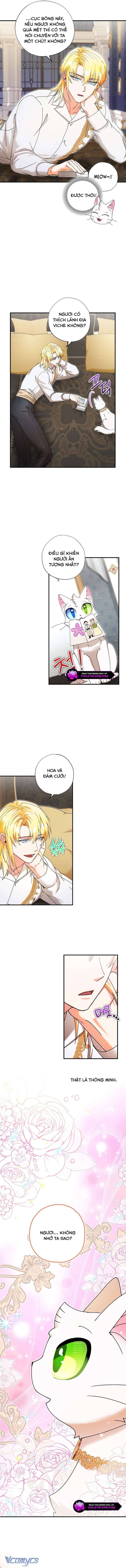 Trở Thành Miêu Nữ Của Hoàng Đế: Chapter 32