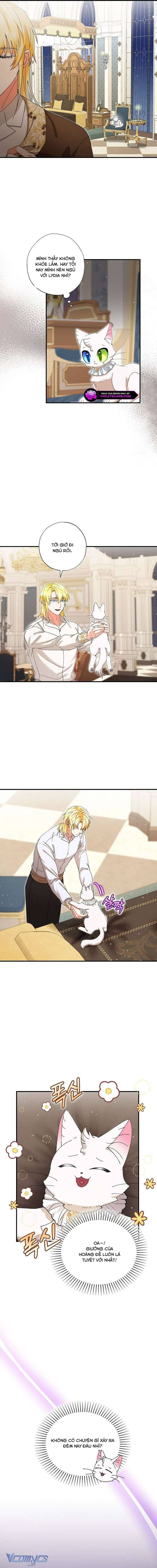 Trở Thành Miêu Nữ Của Hoàng Đế: Chapter 33