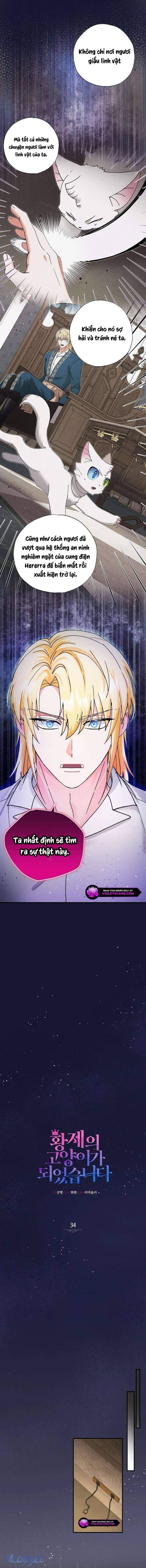 Trở Thành Miêu Nữ Của Hoàng Đế: Chapter 34