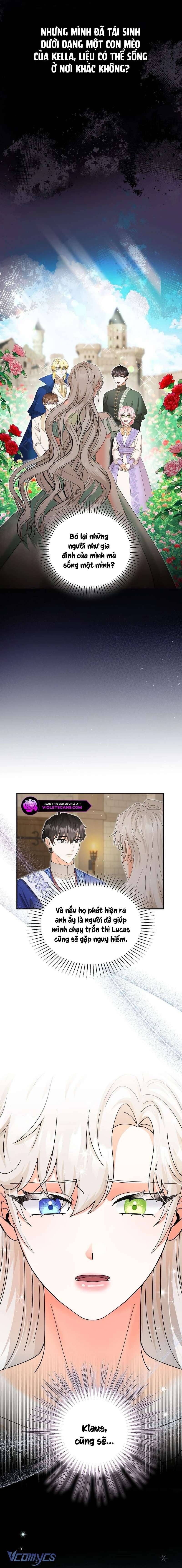 Trở Thành Miêu Nữ Của Hoàng Đế: Chapter 34