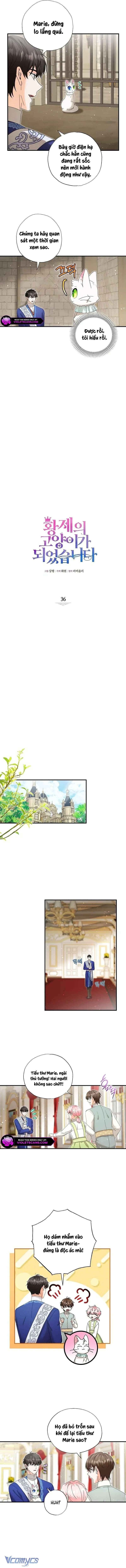 Trở Thành Miêu Nữ Của Hoàng Đế: Chapter 36