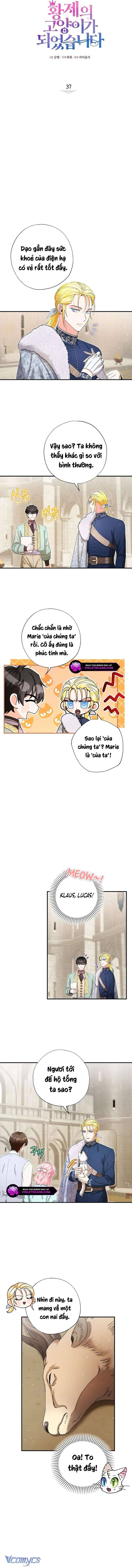 Trở Thành Miêu Nữ Của Hoàng Đế: Chapter 37