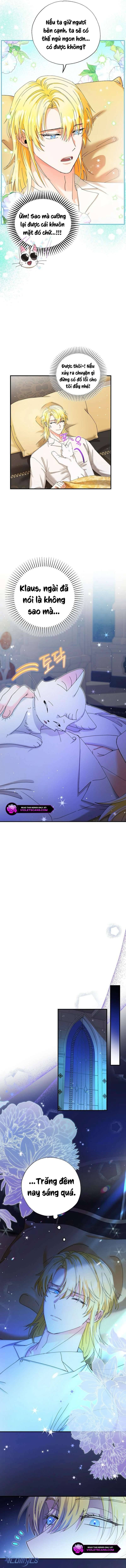 Trở Thành Miêu Nữ Của Hoàng Đế: Chapter 37