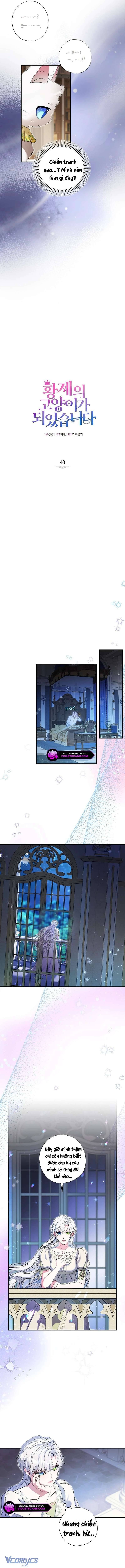 Trở Thành Miêu Nữ Của Hoàng Đế: Chapter 40