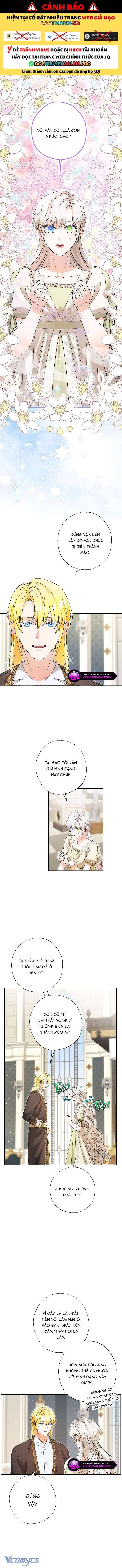 Trở Thành Miêu Nữ Của Hoàng Đế: Chapter 42