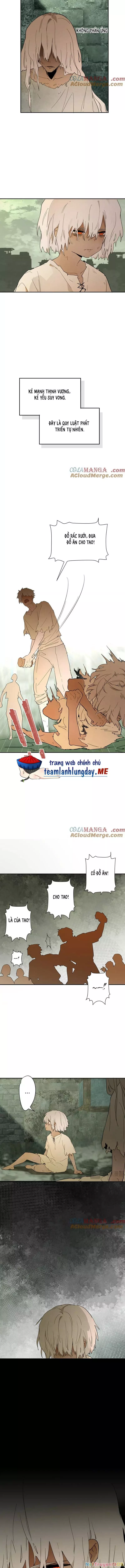 Trở Thành Nữ Hoàng Từ Khi Mới 6 Tuổi: Chapter 33