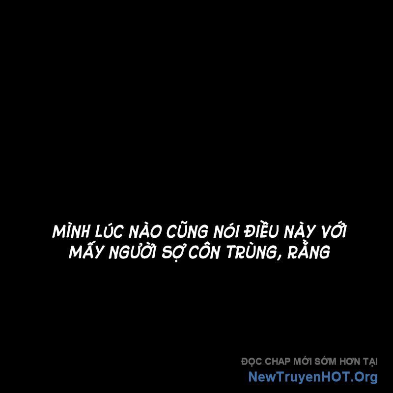 Trở Về Bên Chanbi: Chapter 35