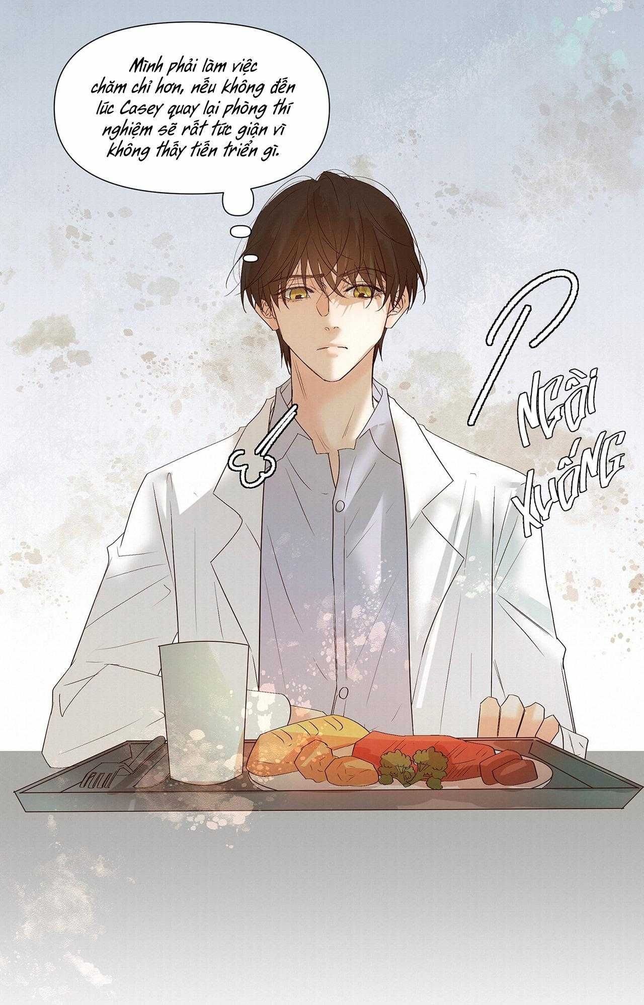 Trỗi Dậy Từ Tro Tàn: Chapter 53