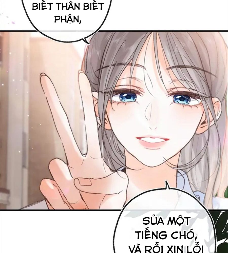 Trong Giấc Mộng Của Tôi: Chapter 18