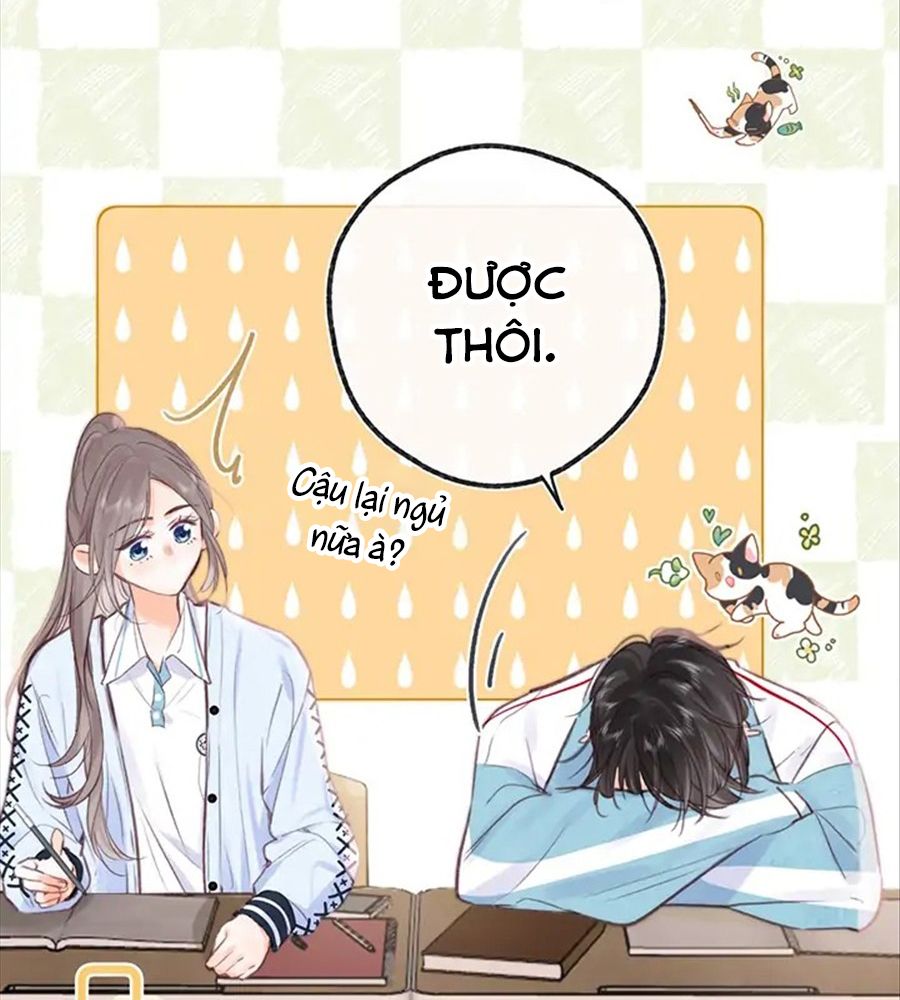 Trong Giấc Mộng Của Tôi: Chapter 19