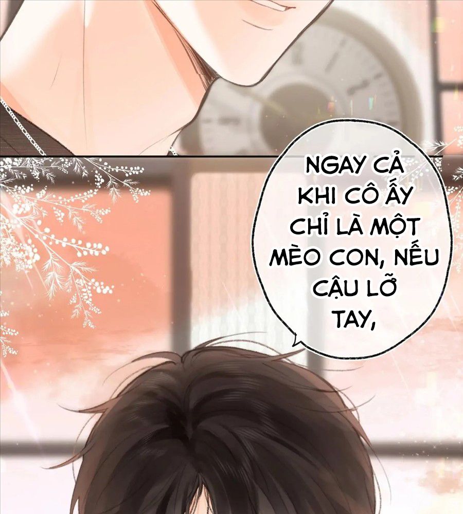 Trong Giấc Mộng Của Tôi: Chapter 2