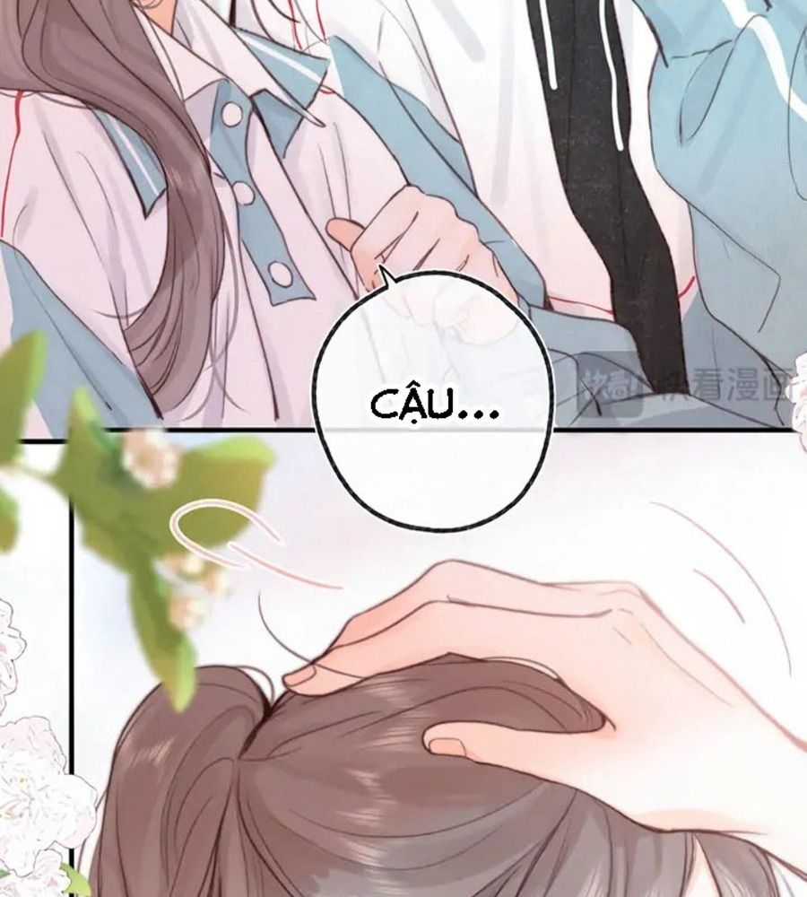 Trong Giấc Mộng Của Tôi: Chapter 20