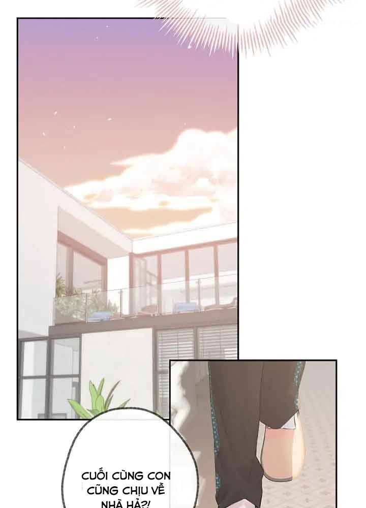 Trong Giấc Mộng Của Tôi: Chapter 25