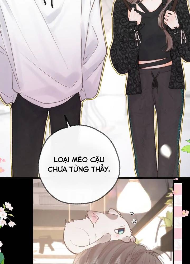 Trong Giấc Mộng Của Tôi: Chapter 27