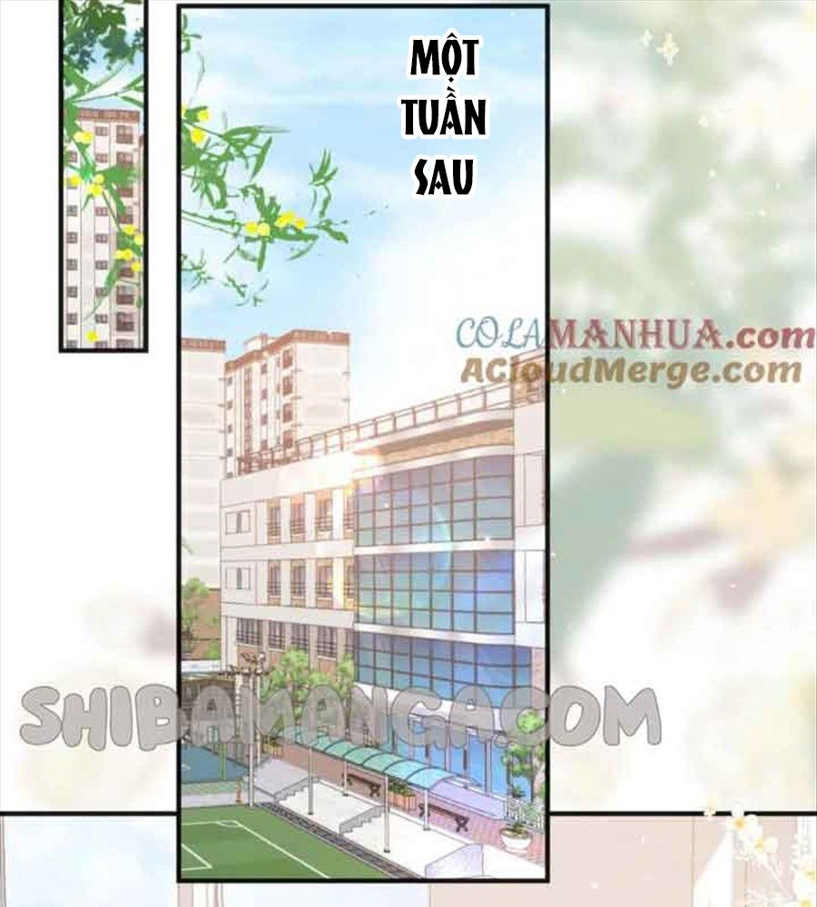 Trong Giấc Mộng Của Tôi: Chapter 30