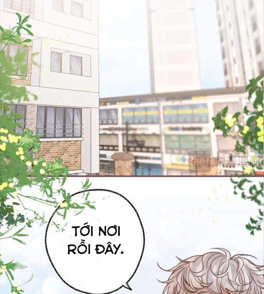 Trong Giấc Mộng Của Tôi: Chapter 32