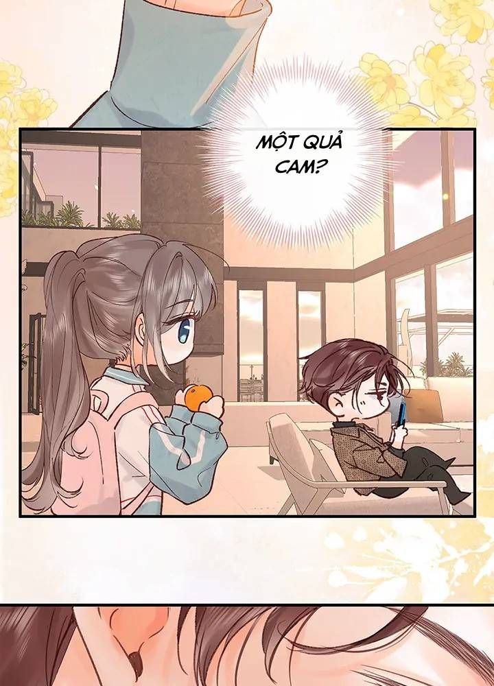 Trong Giấc Mộng Của Tôi: Chapter 35