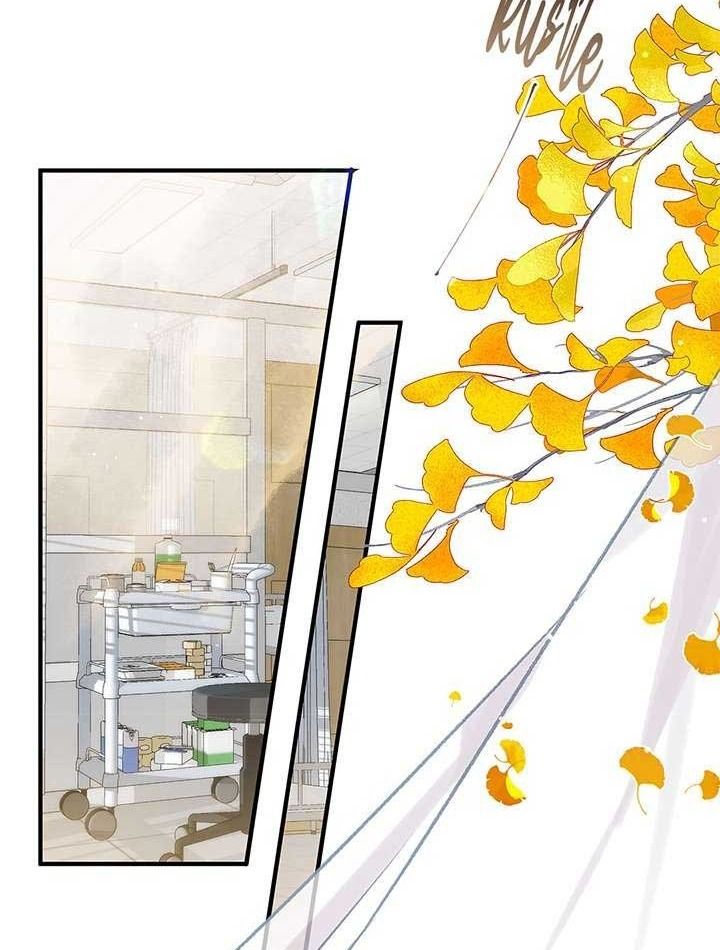 Trong Giấc Mộng Của Tôi: Chapter 43