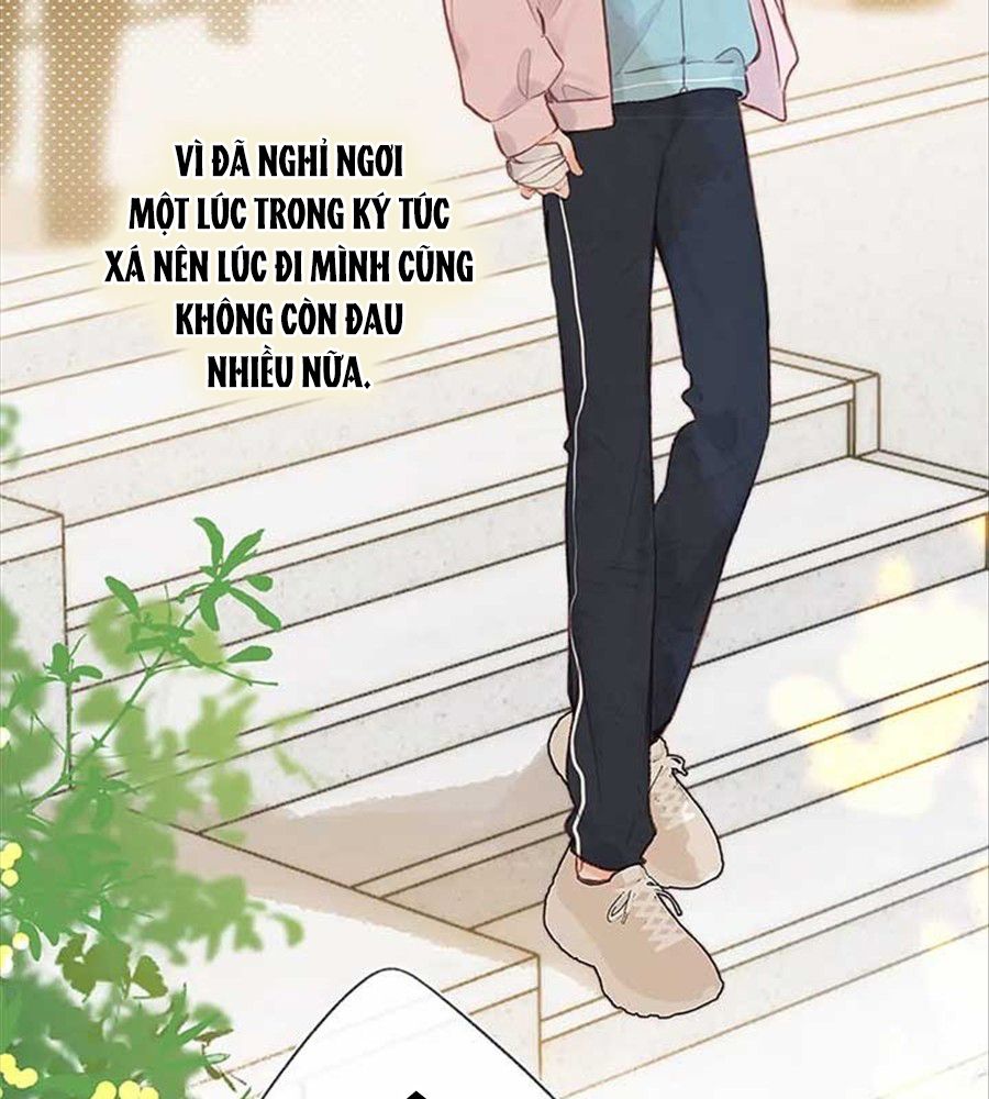 Trong Giấc Mộng Của Tôi: Chapter 44