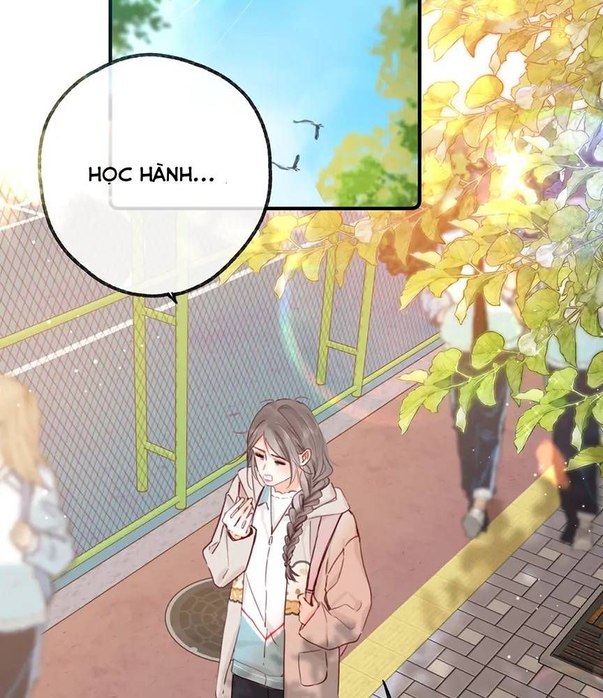 Trong Giấc Mộng Của Tôi: Chapter 58