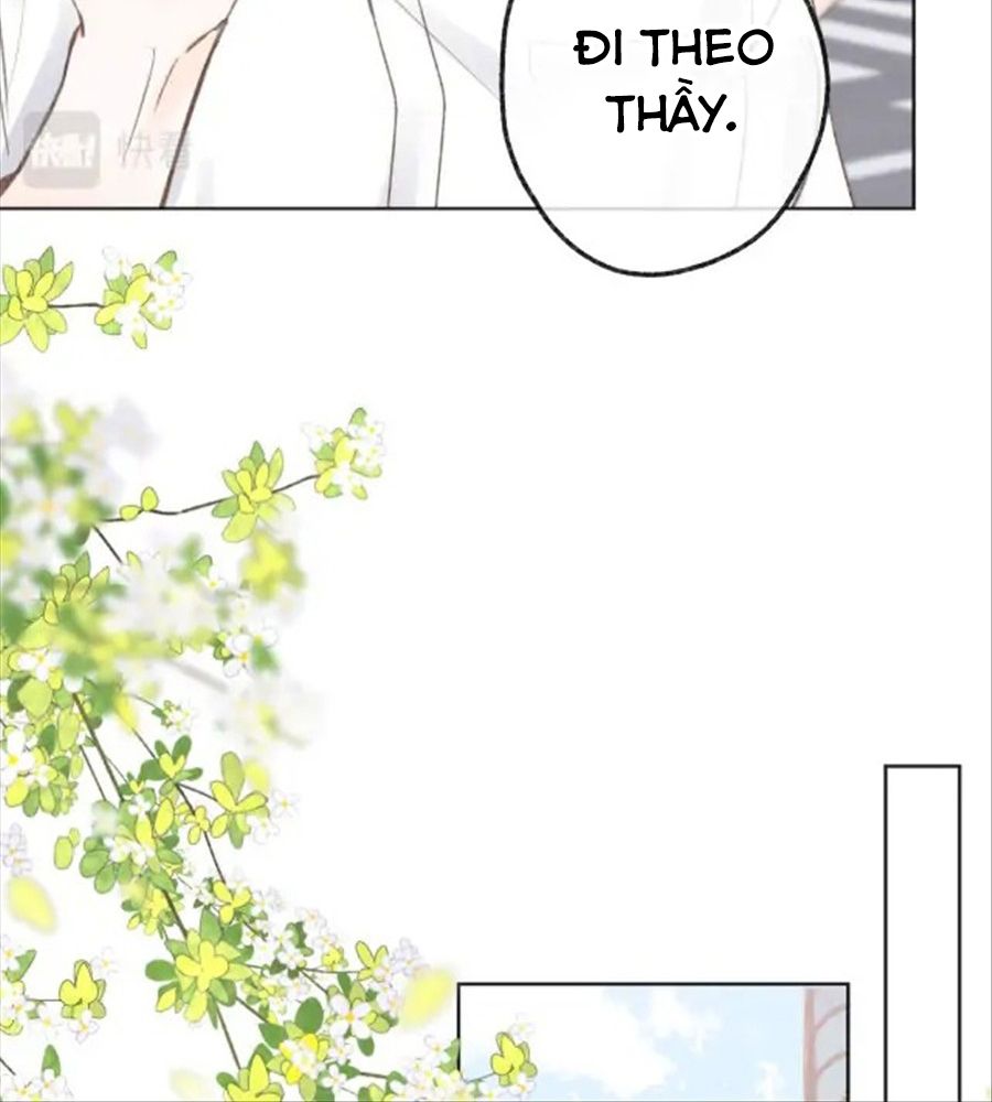 Trong Giấc Mộng Của Tôi: Chapter 6