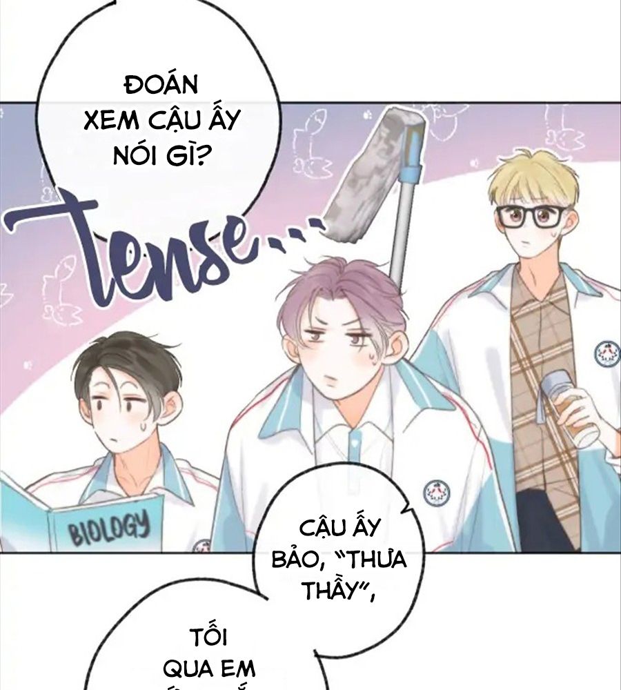 Trong Giấc Mộng Của Tôi: Chapter 6