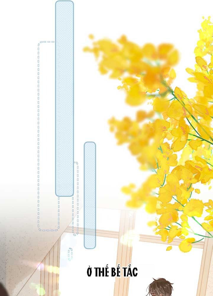 Trong Giấc Mộng Của Tôi: Chapter 61