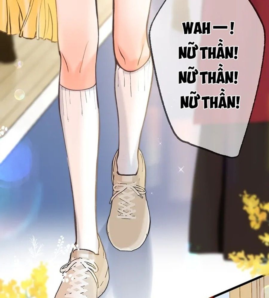 Trong Giấc Mộng Của Tôi: Chapter 63