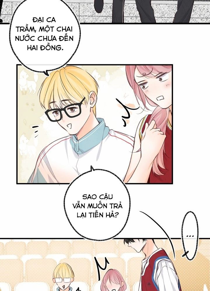 Trong Giấc Mộng Của Tôi: Chapter 64