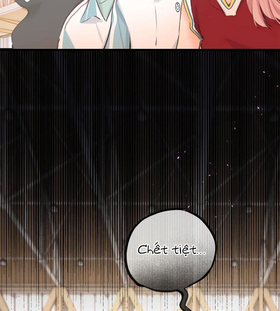 Trong Giấc Mộng Của Tôi: Chapter 65